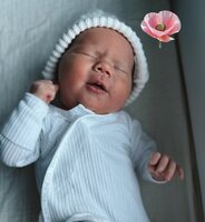 Poppy Ann Costain